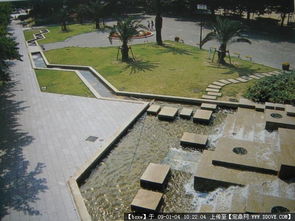 園林景觀 從圖片瀏覽到綠化養護的全面指南