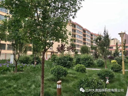 臨洮怡康苑住宅小區園林景觀綠化工程綠化養護方案