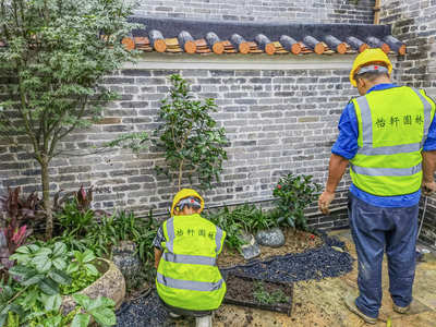 禪城嶺南盛世茶舍園林綠化工程進入收尾，精細化養護開啟新篇章