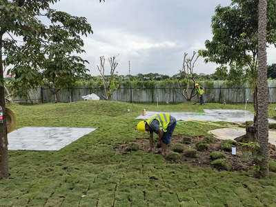 園林綠化工程中常用植物規(guī)格與種植密度詳解及養(yǎng)護(hù)要點(diǎn)