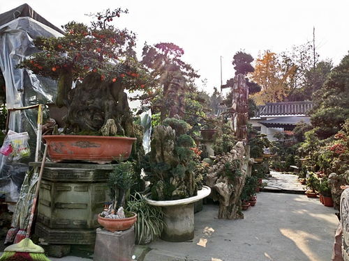 成都市光和園林藝術(shù)有限責(zé)任公司 專(zhuān)業(yè)園林綠化設(shè)計(jì)施工一體化服務(wù)