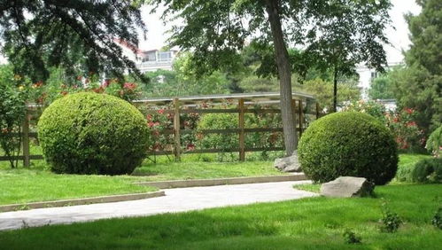 園林綠化龍企業(yè)雙線并進(jìn) 擴(kuò)大內(nèi)需掘金主業(yè)，進(jìn)軍光伏開辟新賽道