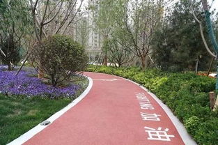 樓盤景觀進(jìn)化論 從園林綠化到生態(tài)養(yǎng)護(hù)，現(xiàn)代社區(qū)綠化知多少