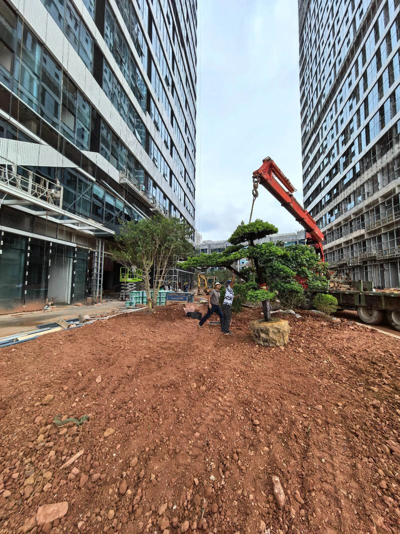 從一草一木到一方生態(tài) 園林景觀綠化的多元價值與深遠(yuǎn)意義