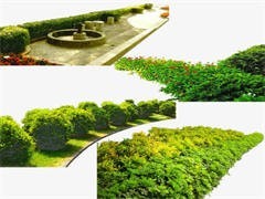 重慶園林公司 匠心獨運，構筑山城綠色生態工程